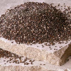 Chia Seeds – What is in Shakeology?