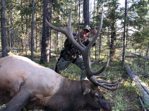 2018 archery elk kill, tree stand elk, kill shot elkarcehry kill shot bull elk, island park elk, hunt island park elk