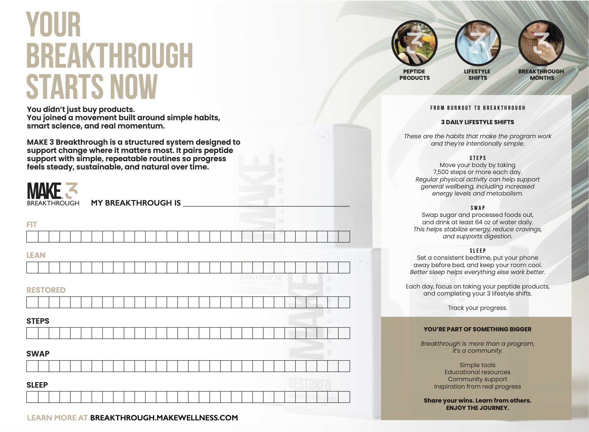 The Make 3 Breakthrough official tracker for make wellness 